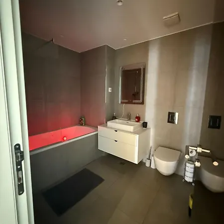 Apartment Penthouse With River View BW *