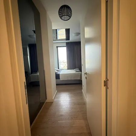 Penthouse With River View BW