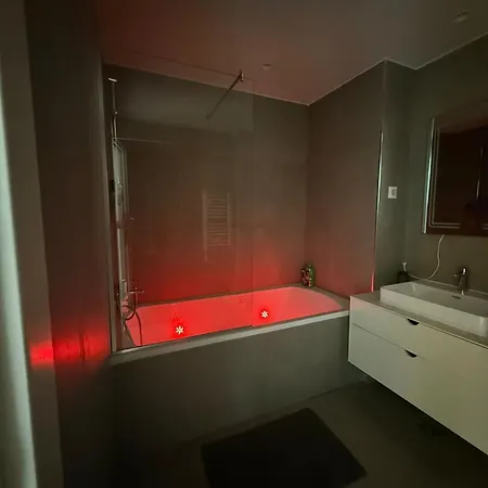 Penthouse With River View BW Apartment